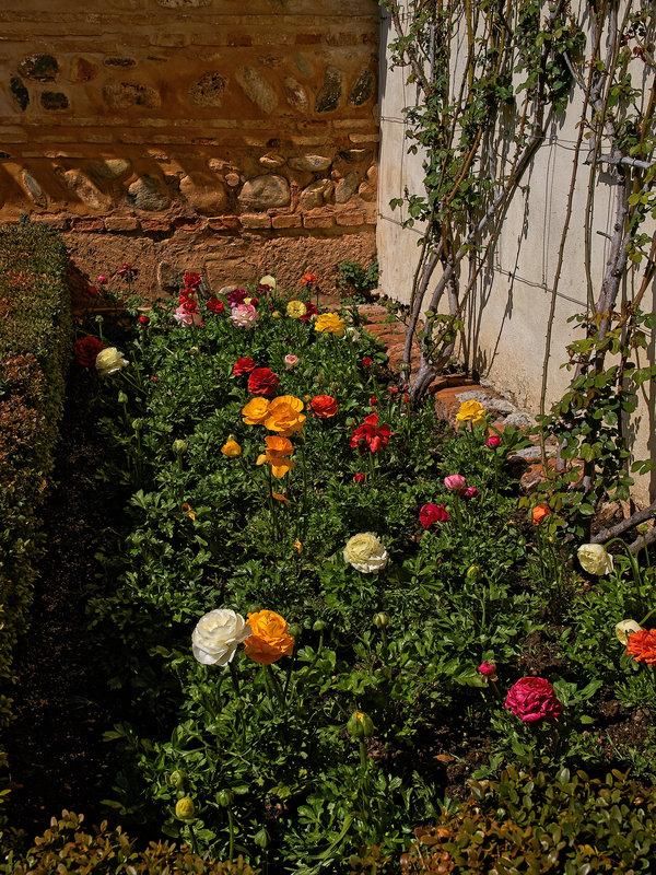 Granada, Generalife